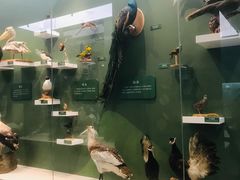 -国家自然博物馆