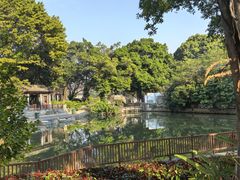 -荔湾湖公园