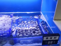 水产区-老虎滩大连海鲜烧烤(建邺云锦路总店)