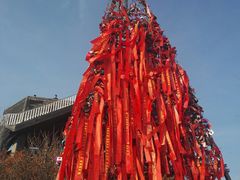 -帽儿山国家森林公园