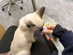 -芭比堂动物医院·CT·微创中心(新顺分院)