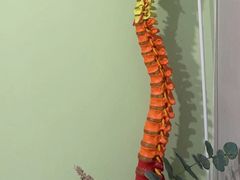 -修申骨雕小颜脊柱骨盆管理产后修复