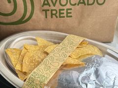 -油梨树AVOCADO TREE(顺义新国展店)