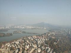 -紫峰大厦