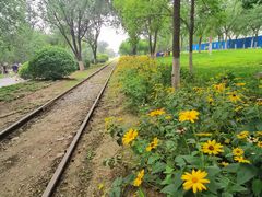 -永定河休闲森林公园