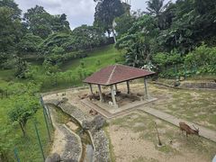 -吉隆坡雀鸟公园