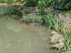 -苏州河梦清园环保主题公园