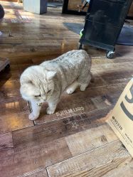 -青木造型HAIR·あおき髪を刈る潮人店