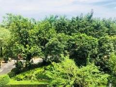 -逸廊大堂吧(三亚海棠湾万丽度假酒店)