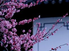 -郭庄景区