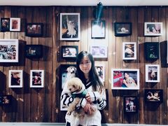 -百好乐宠物友好餐厅(朝外大街店)