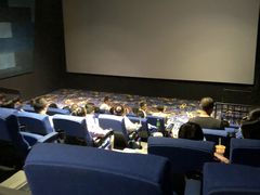 -龙之星国际影城(太平店)