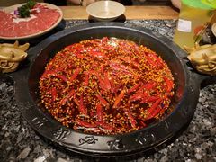 -大龙燚火锅(春熙店)