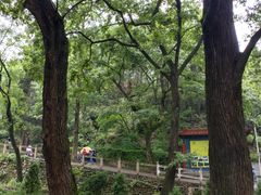 -信阳灵山风景区