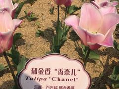 -江南大学(蠡湖校区)