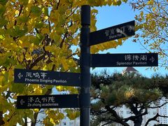 -迎泽公园