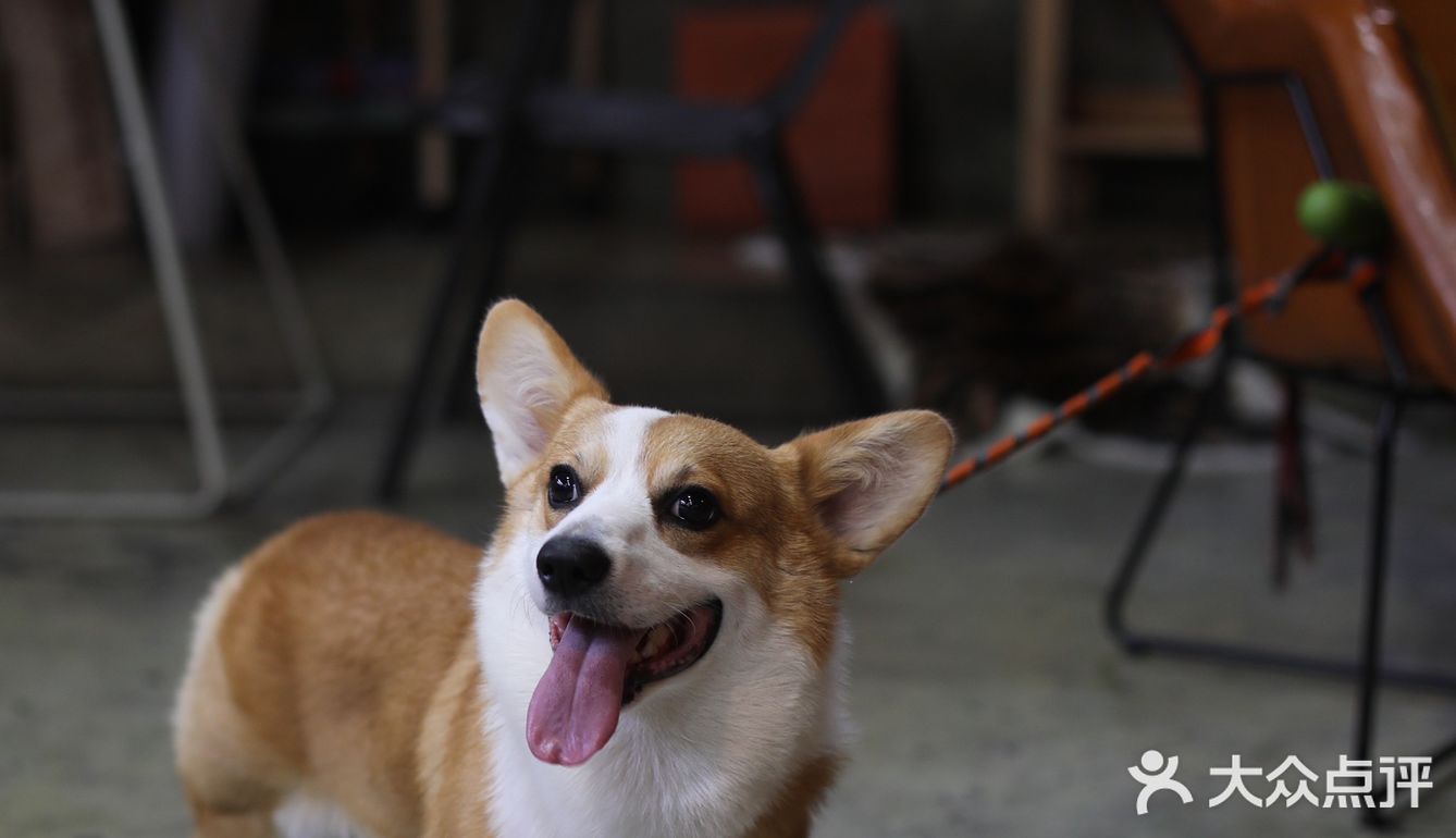 咖啡+机车+设计