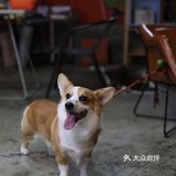 咖啡+机车+设计