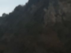 -黑河国家森林公园