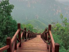 -大岭沟猕猴桃谷风景区