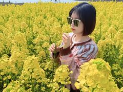 -阳澄湖半岛旅游度假区