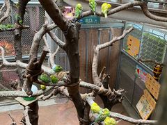 -正佳雨林生态植物园