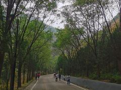 -圣莲山风景区