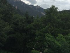 -石老人观光园
