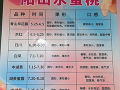 -老袁家蜜桃农场·阳山水蜜桃