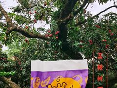 -小波紫炸鸡(大中华店)
