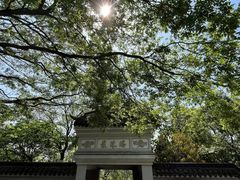 -上海佘山国家森林公园天马山园