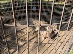 -西双版纳融创皇冠假日度假酒店