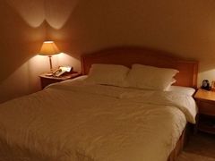 -南京维景国际大酒店(南京博物院店)