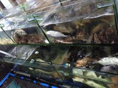 android_upload_pic-岛中岛·海鲜大排档·万宁老字号(东澳店)
