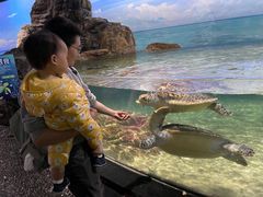 -江和美海洋公园