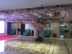 -重庆军美医疗美容医院