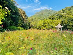 -广州市石门国家森林公园