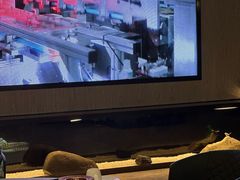 -晋江荣誉国际酒店·港誉茶餐厅