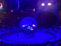 -俄罗斯国家大马戏团