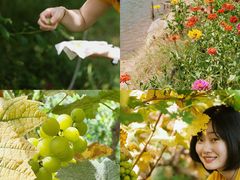 -湖南湘都生态农业园