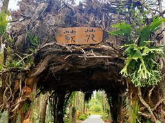 -东平国家森林公园