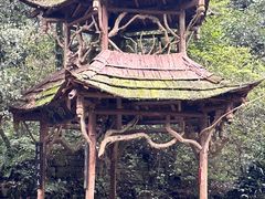 -青城山