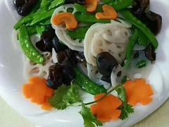 -天鹅到家·保姆月嫂育儿嫂(朝阳店)