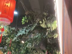 -成老灶火锅鸡(平山店)