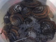 贝壳-小庙乡农贸市场