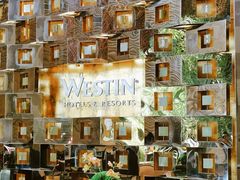 -天津君隆威斯汀酒店