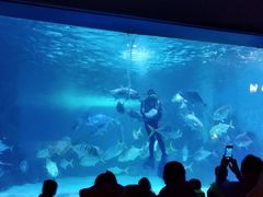 -常州海昌海洋探索馆