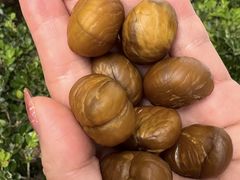 -金栗王(清扬路店)