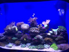 -青岛海底世界-水族馆