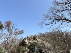 -紫金山山顶公园